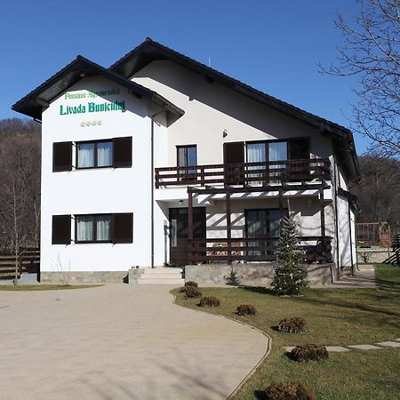 Pensiunea Livada Bunicului Stanesti  Екстериор снимка